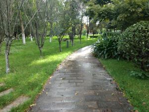 IMG_20181013_165028031