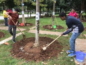 mmexport1546344493775